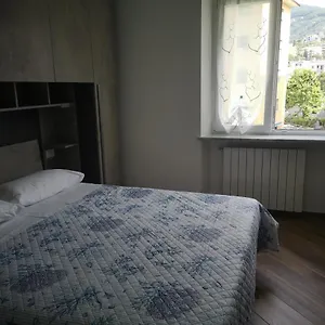Viola , Rapallo Italia